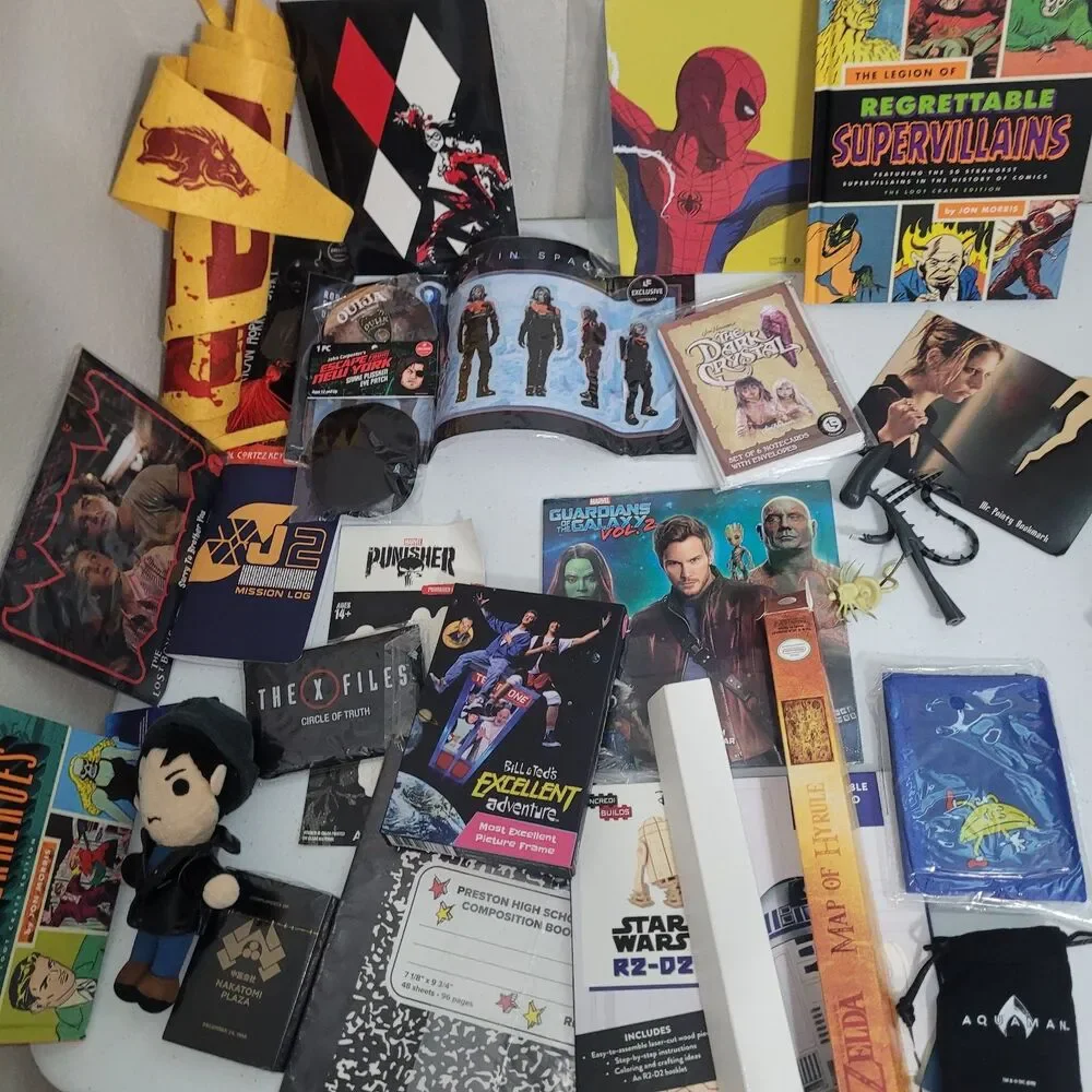 Loot crate lot random items x-files spiderman hero horror poster 90s nostalgia